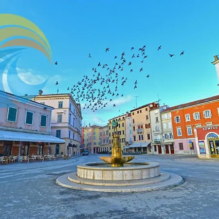 Martin 2224 * Rovinj