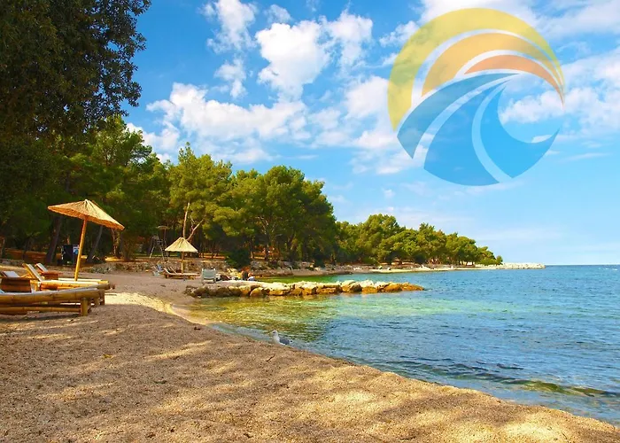 Martin 2224 * Ρόβινι